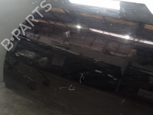 Hood VW SHARAN (7N1, 7N2) 2.0 TDI | BP21772096C1 