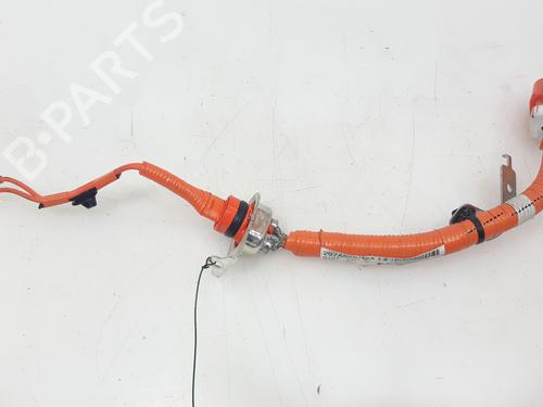 Used Cable NISSAN LEAF (ZE1) Electric (150 hp) 19126441