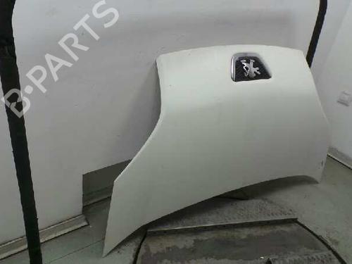 Hood PEUGEOT BIPPER (AA_)  | BP5625868C1 