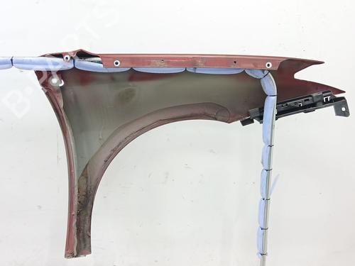 Left front fenders RENAULT LAGUNA III (BT0/1) 1.5 dCi (BT00, BT0A, BT0T, BT1J) | BP22769479C41 