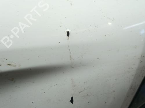 Foran støtfanger TOYOTA PRIUS (_W3_) 1.8 Hybrid (ZVW3_) | BP29946686C7 