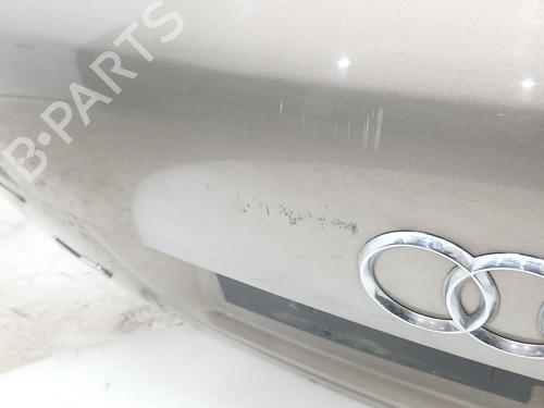 Tailgate AUDI A3 (8P1) 2.0 TDI 16V | BP28512099C6 