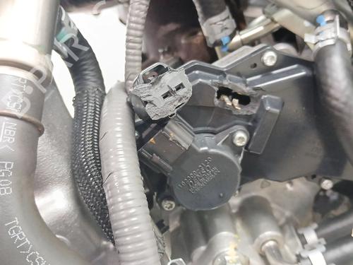 Engine TOYOTA HILUX VIII Pickup (_N1_)  | BP29446297M1 