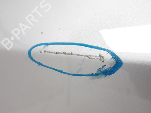 Left front door BMW X3 (E83) xDrive 20 d | BP4819403C2 