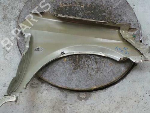 Left front fenders NISSAN PRIMERA Hatchback (P12) 1.9 dCi | BP2798538C41