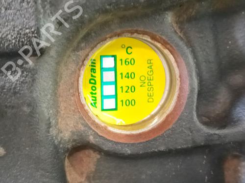 Engine RENAULT CLIO II (BB_, CB_) 1.2 16V (BB05, BB0W, BB11, BB27, BB2T, BB2U, BB2V, CB05,... | BP25255715M1 