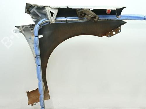 Left front fenders FIAT GRANDE PUNTO (199_) 1.3 D Multijet | BP25295810C41 