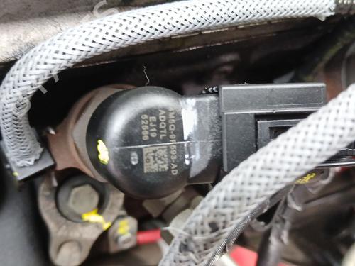 Engine FORD FOCUS C-MAX (DM2) 1.8 TDCi | BP37692627M1  - Image 13