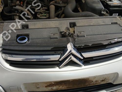 Gitter für CITROËN C5 I (DC_) 2.0 HDi (DCRHZB, DCRHZE) (109 hp) 32290284
