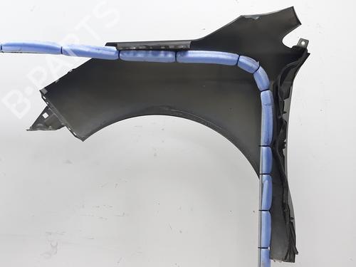 Right front fenders CITROËN C4 II (NC_) 1.6 HDi 110 | BP18905008C42 