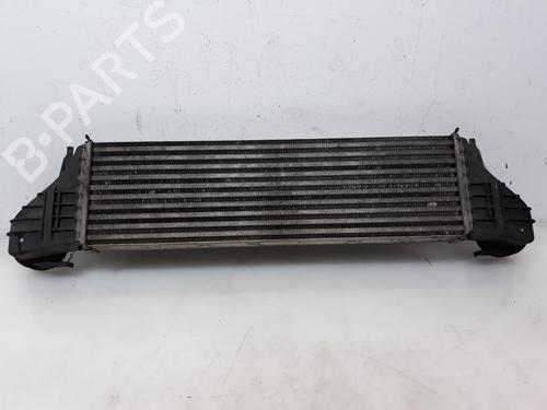 Intercooler BMW X5 (E53)  | BP10055632M30 