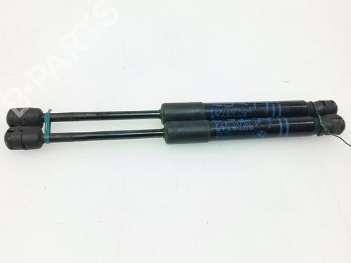 Hood lift support BMW 3 (F30, F80) 318 d | BP24438802C139 