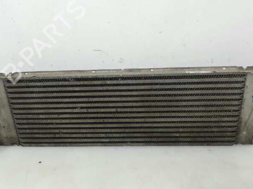 Used Intercooler RENAULT MEGANE II (BM0/1_, CM0/1_) 1.5 dCi (BM0F, BM0T, BM2B, CM0F, CM0T) (82 hp) 6076984
