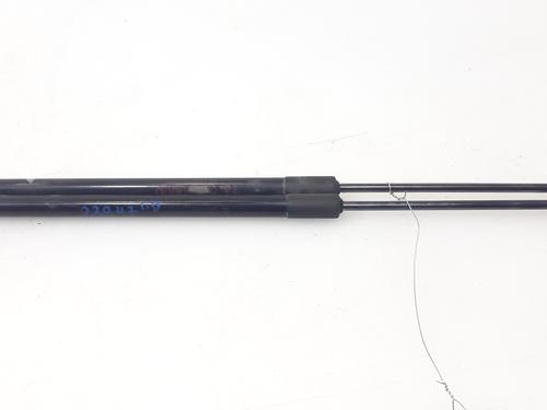 Used Tailgate lift support NISSAN LEAF (ZE1) Electric (150 hp) 19324748