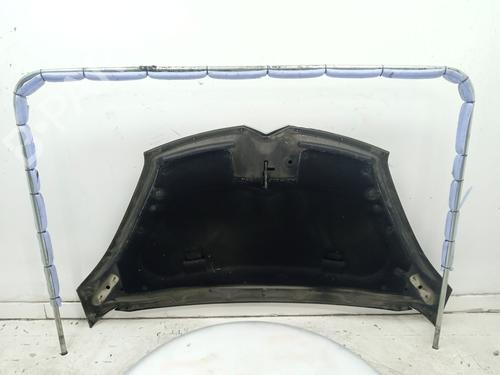 Hood CITROËN C4 Grand Picasso I (UA_) 1.6 HDi 110 | BP22720945C1