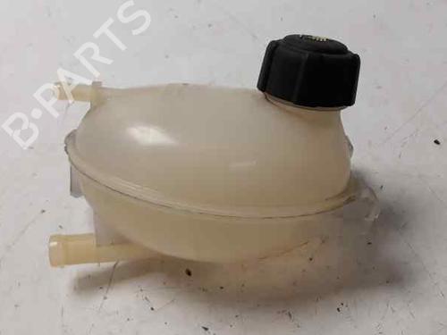 Expansion tank DACIA SANDERO II TCe 90 (B8M1, B8MA, B8AC) | BP8796421C120
