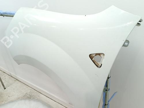 Left front fenders RENAULT KANGOO Express (FW0/1_) 1.5 dCi 70 (FW0A, KW0V) | BP23979786C41 