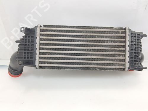 Intercooler PEUGEOT 508 SW I (8E_) 2.0 HDi (163 hp) 32135096