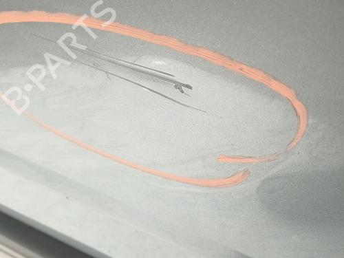 Left rear door VOLVO XC70 II (136) D5 AWD | BP31095731C4 