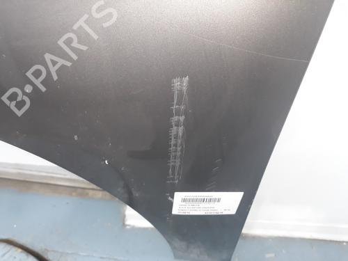 Left front fenders RENAULT SCÉNIC III (JZ0/1_)  | BP15213029C41 