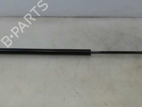 Used Tailgate lift support LAND ROVER RANGE ROVER SPORT I (L320) 2.7 D 4x4 (190 hp) 14143794