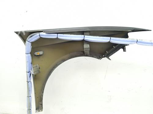 Left front fenders SEAT IBIZA IV (6J5, 6P1)  | BP21051460C41 