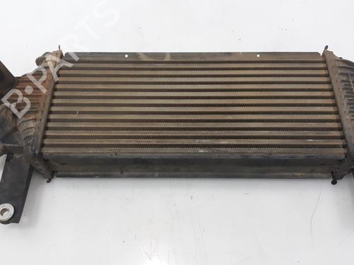 Used Intercooler NISSAN PATHFINDER III (R51) 2.5 dCi (174 hp) 16673052