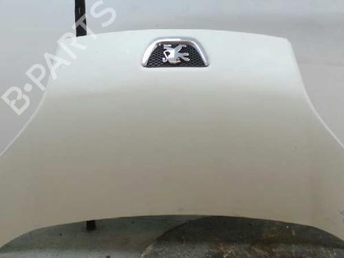 Used Hood PEUGEOT BIPPER (AA_) [2008-2025]  5625868
