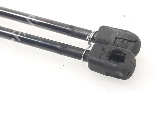 Tailgate lift support NISSAN LEAF (ZE1) Electric | BP19324748C138 
