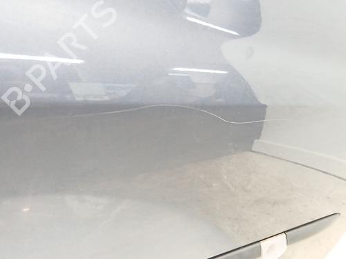 Right front door RENAULT CLIO III (BR0/1, CR0/1) 1.2 16V (BR0P, CR0P) | BP24698673C3 
