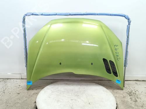 Used Hood PEUGEOT 206 CC (2D) 1.6 16V (2DNFUF, 2DNFUR) (109 hp) 31340917