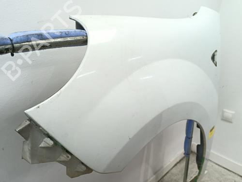 Left front fenders RENAULT KANGOO Express (FW0/1_) 1.5 dCi 70 (FW0A, KW0V) | BP23979786C41 