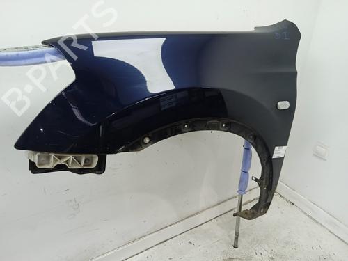 Left front fenders NISSAN QASHQAI I (J10, NJ10) 2.0 All-wheel Drive | BP20150143C41 