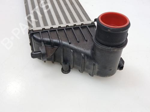 Intercooler FIAT TIPO Saloon (356_, 357_) 1.6 D (356SXG1B) | BP25901237M30 