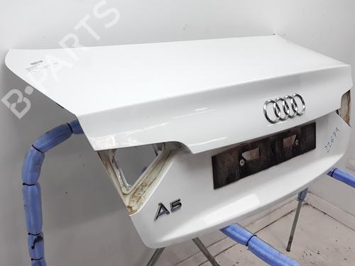Tailgate AUDI A5 (8T3)  | BP18920248C6 