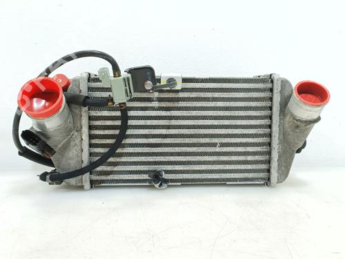 Used Intercooler HYUNDAI i20 II (GB, IB) 1.0 T-GDI (101 hp) 31756312