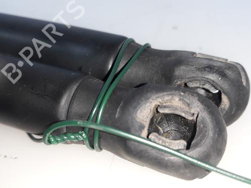 Tailgate lift support SEAT ALTEA (5P1)  | BP17018234C138 