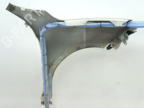 Left front fenders NISSAN JUKE (F15) 1.2 DIG-T | BP26680606C41 