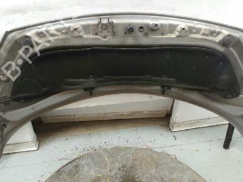 Hood RENAULT SCÉNIC II (JM0/1_) 1.5 dCi (JM02, JM13) | BP3517904C1 