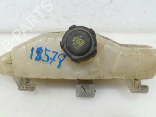 Expansion tank RENAULT CLIO III (BR0/1, CR0/1) 1.5 dCi (BR0H, CR0H, CR1S, BR1S) | BP3251017C120 