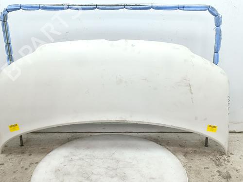 Used Hood VW TRANSPORTER T5 Bus (7HB, 7HJ, 7EB, 7EJ) 2.5 TDI (130 hp) 30123662