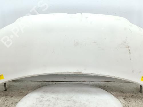 Hood VW TRANSPORTER T5 Bus (7HB, 7HJ, 7EB, 7EJ) 2.5 TDI | BP30123662C1