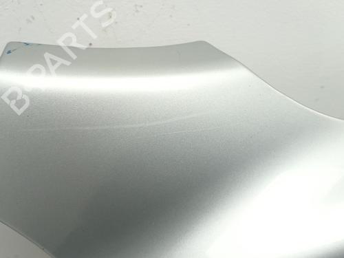 Right front fenders HYUNDAI SANTA FÉ II (CM) 2.2 CRDi | BP29554647C42 