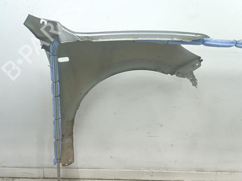 Left front fenders HYUNDAI SANTA FÉ II (CM) 2.2 CRDi | BP29554648C41 