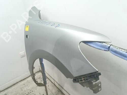 Right front fenders HYUNDAI SANTA FÉ II (CM) 2.2 CRDi | BP29554647C42 