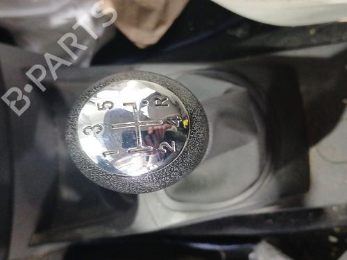 Pookknop RENAULT CLIO III (BR0/1, CR0/1) 1.2 16V (BR02, BR0J, BR11, CR02, CR0J, CR11) (75 hp) 31980620