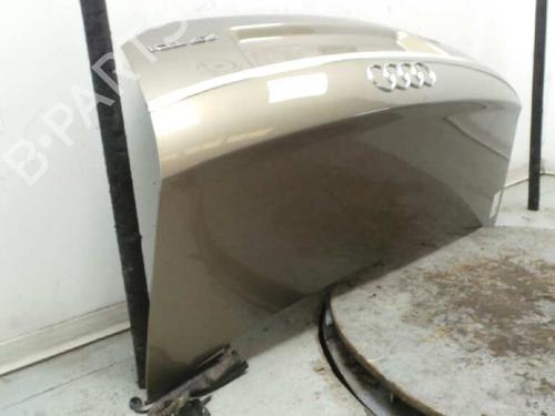 Porton trasero AUDI A6 C6 (4F2)  | BP2263226C6 