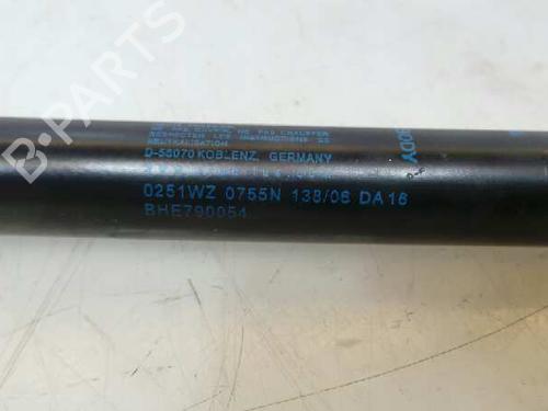 Tailgate lift support LAND ROVER RANGE ROVER SPORT I (L320) 2.7 D 4x4 | BP14143795C138 
