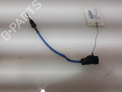 Elektronisk sensor FORD FIESTA VI (CB1, CCN) 1.4 TDCi (70 hp) 12989660