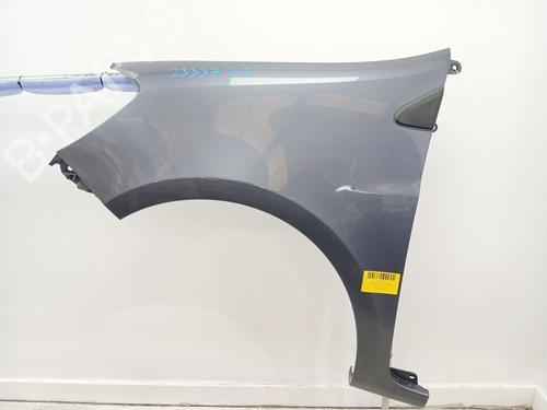 Used Left front fenders RENAULT CLIO III (BR0/1, CR0/1) 1.2 16V (BR0P, CR0P) (101 hp) 24698653